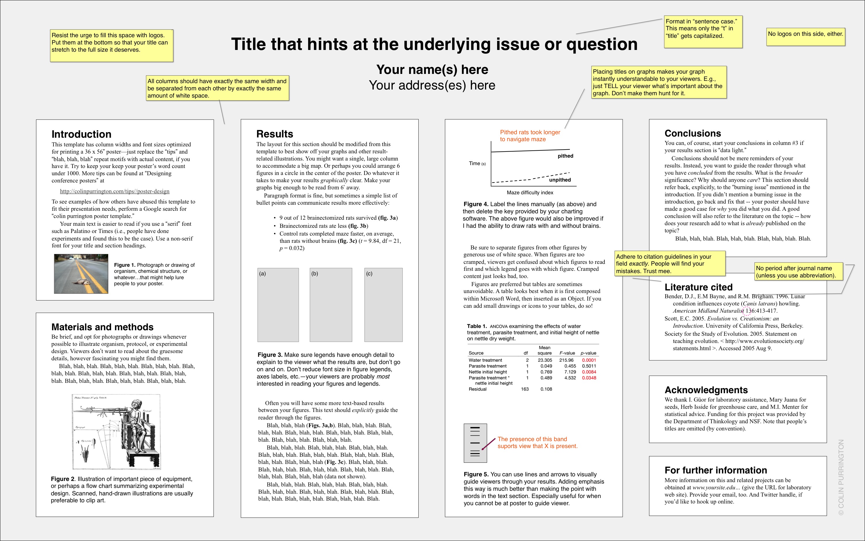 poster presentation size