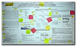 Getting feedback on a scientific poster by Post-Its.