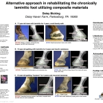Alternative approach in rehabilitating the chronically laminitic foot utilizing composite materials
