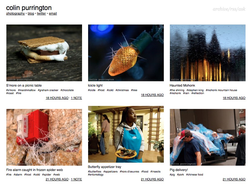 Colin Purrington's tumblr site