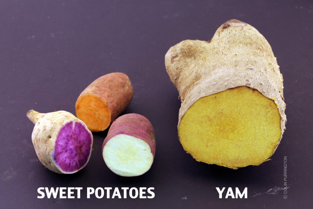 Photograph of cut Okinawan purple sweet potato, Beauregard sweet potato, oriental sweet potato, and a yellow yam.