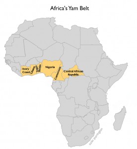 The yam-growing regions of Africa