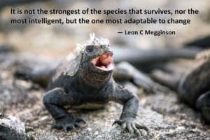 It is not the strongest of the species that survives, nor the most intelligent, but the ones most adaptable to change Charles Darwin