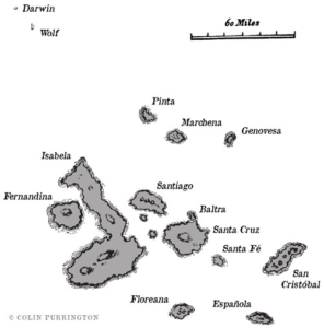 Charles Darwin's 1845 map of the Galapagos Islands
