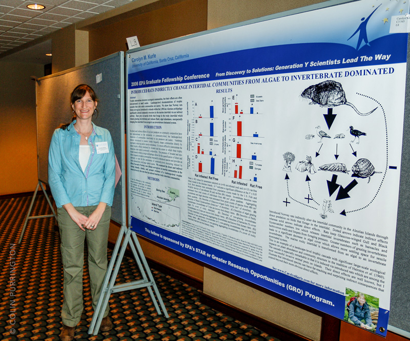 posters, posterboards, poster sessions