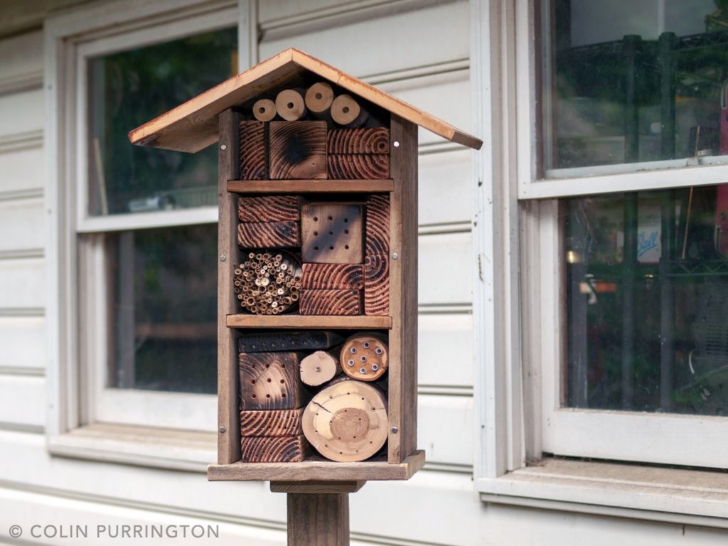 New Mason Bee Nesting System-Revolutionary new design.