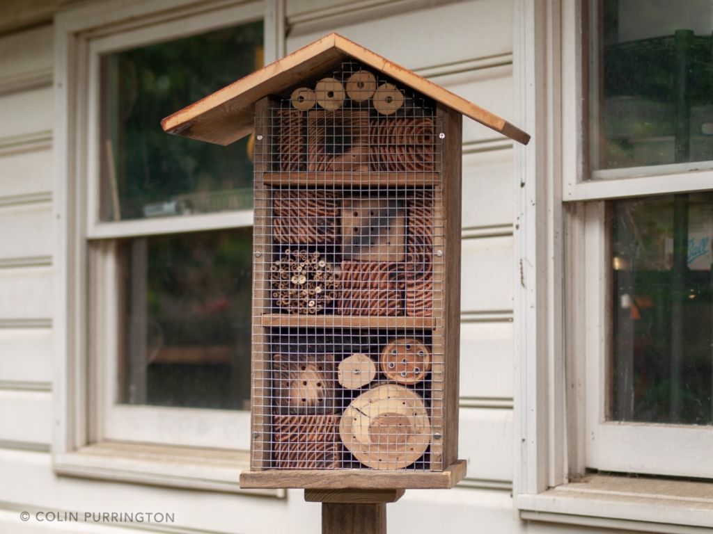 Wire cloth protects bee larvae from woodpeckers