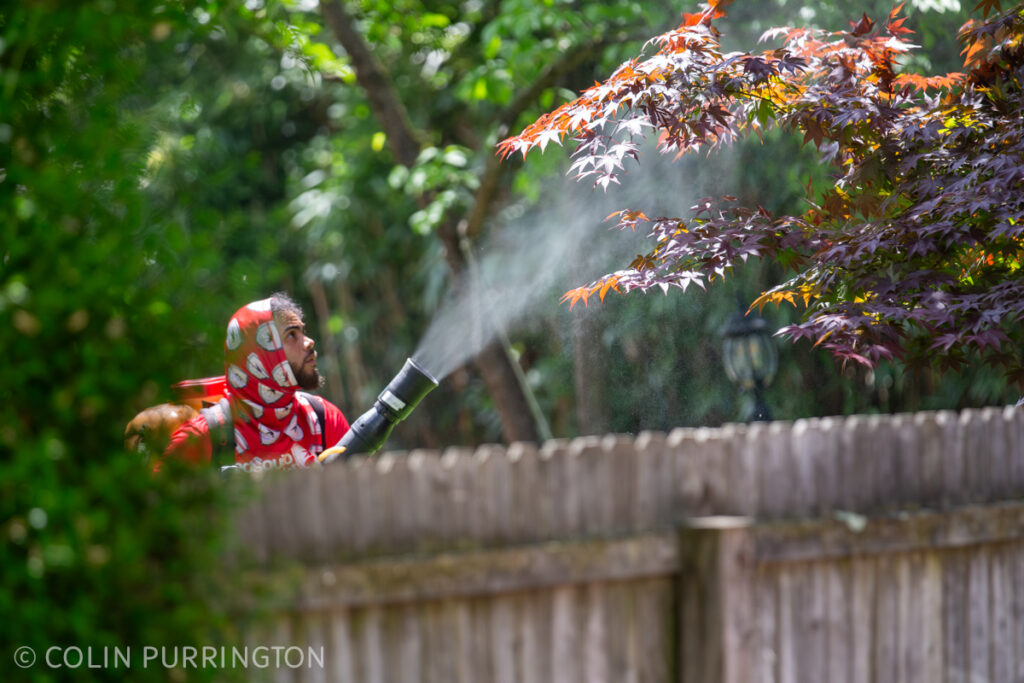 Mosquito Shield guy spraying pyrethroids onto a tree near a fence.