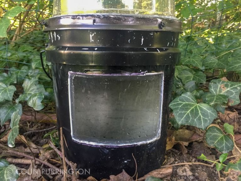 DIY Trap To Kill Pregnant Mosquitoes » Colin Purrington's Blog