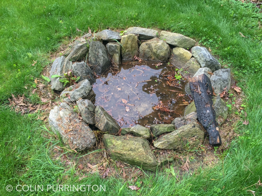 Fire pit with stagnant water