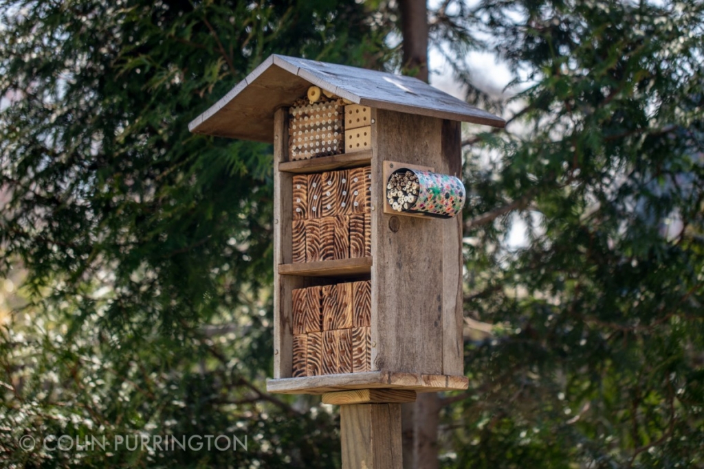 Insect hotel