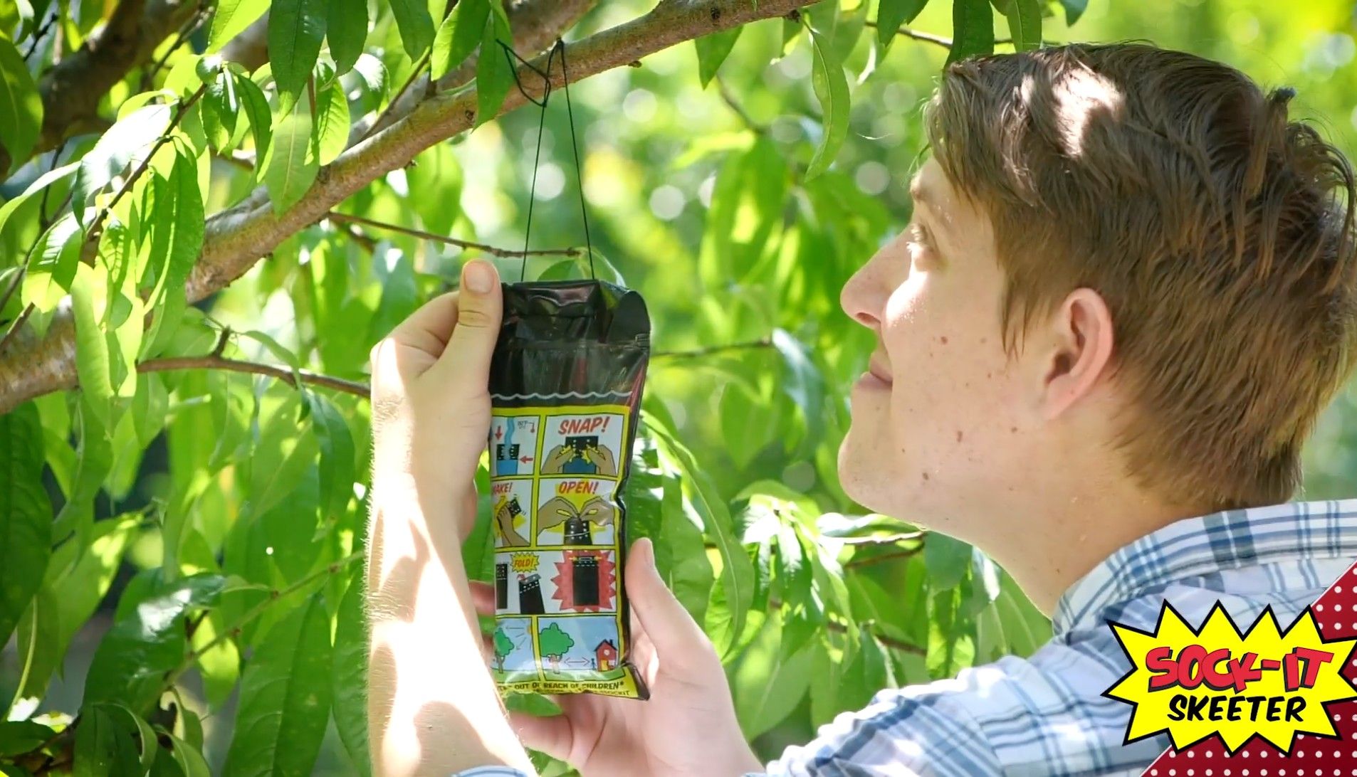 Yeast based mosquito control devices