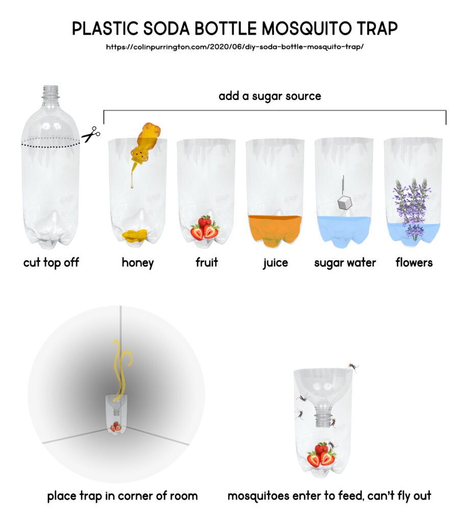 DIY plastic bottle mosquito trap