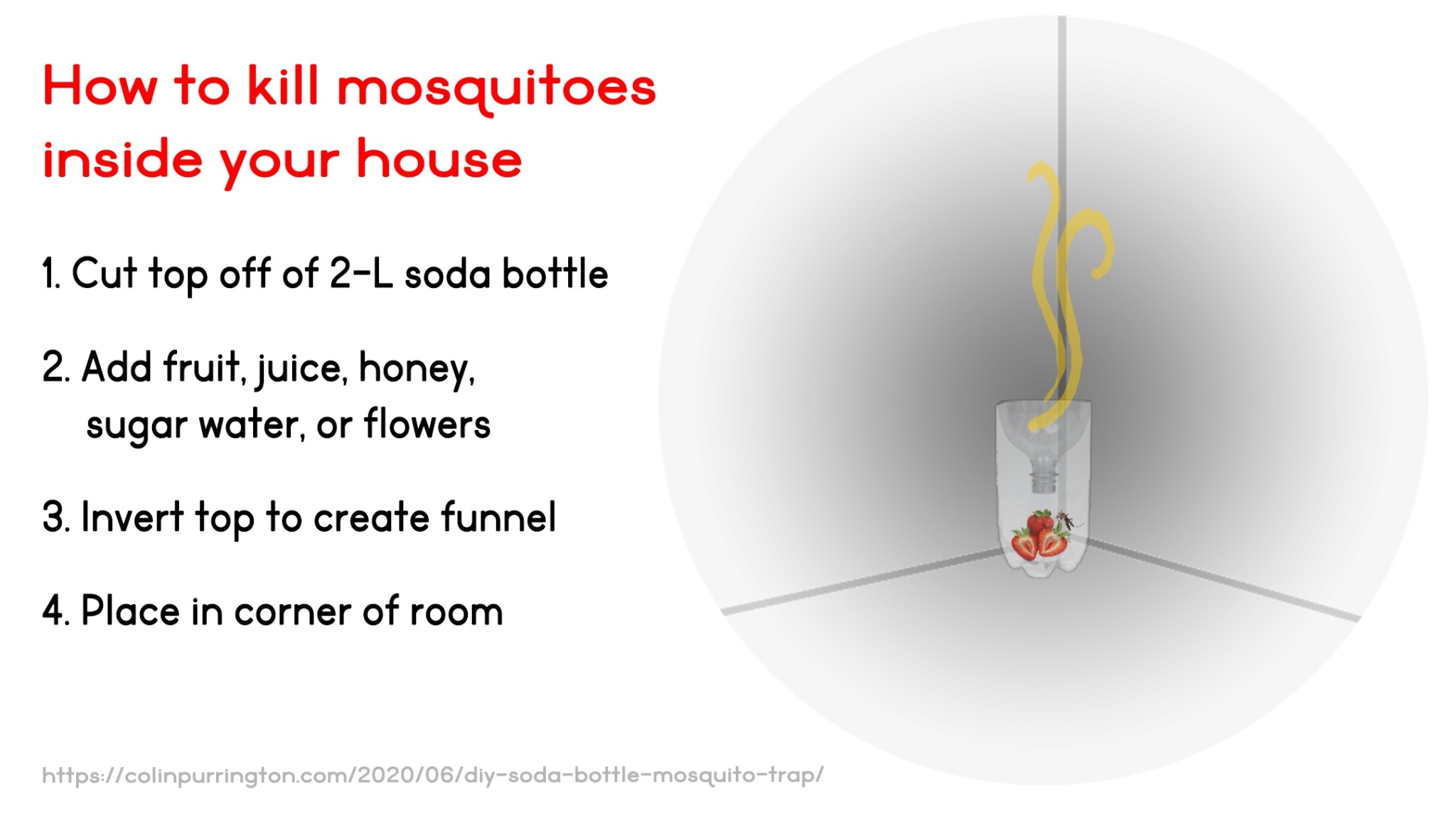 DIY mosquito trap using a plastic soda bottle