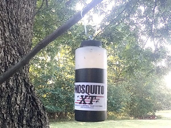 Mosquito XT