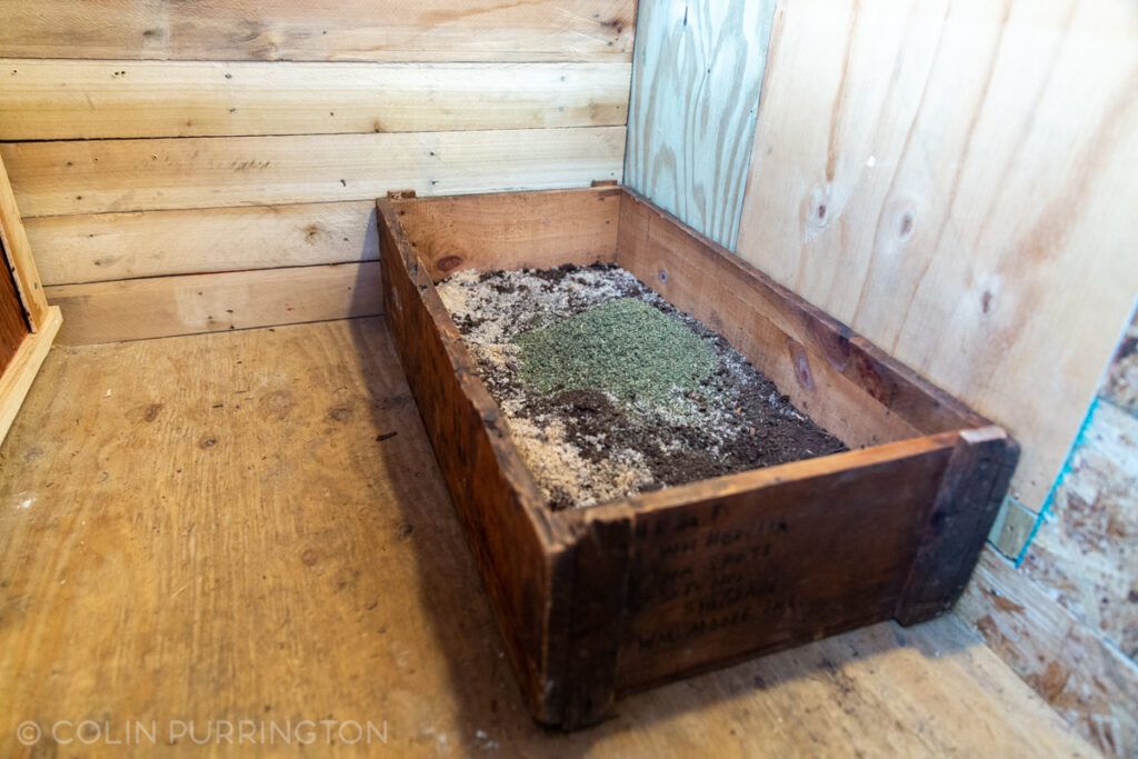 Dust bath inside chicken coop