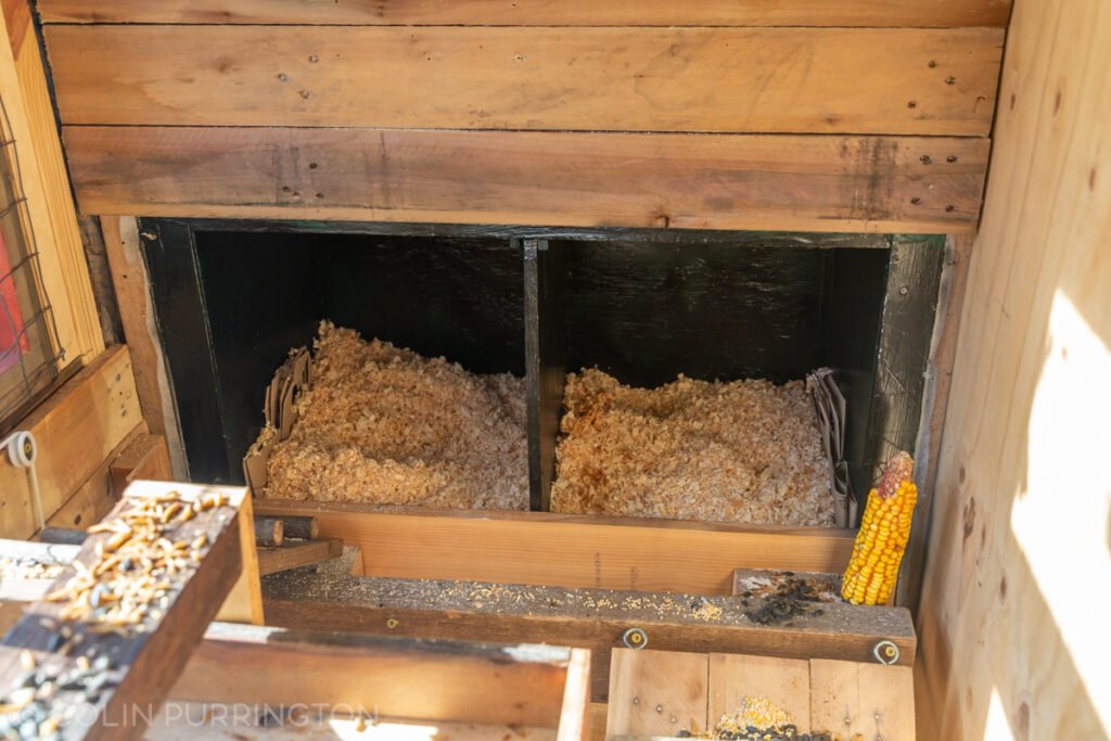 Nesting boxes inside chicken coop