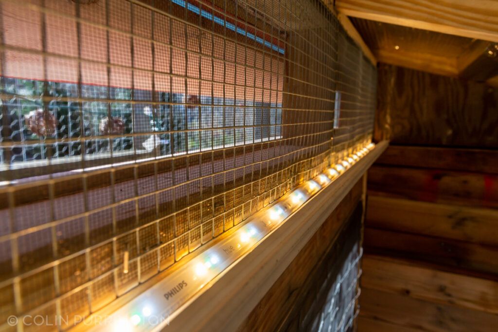 LED strip light inside chicken coop