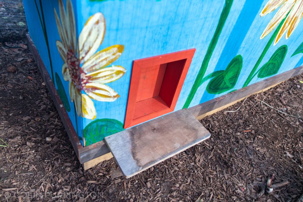 Chicken coop pop door