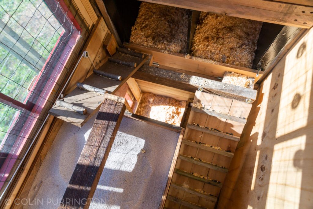 Ramps inside DIY chicken coop