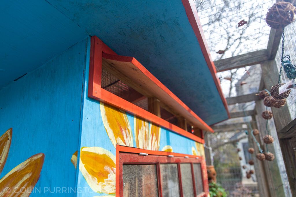 Chicken coop ventilation panel
