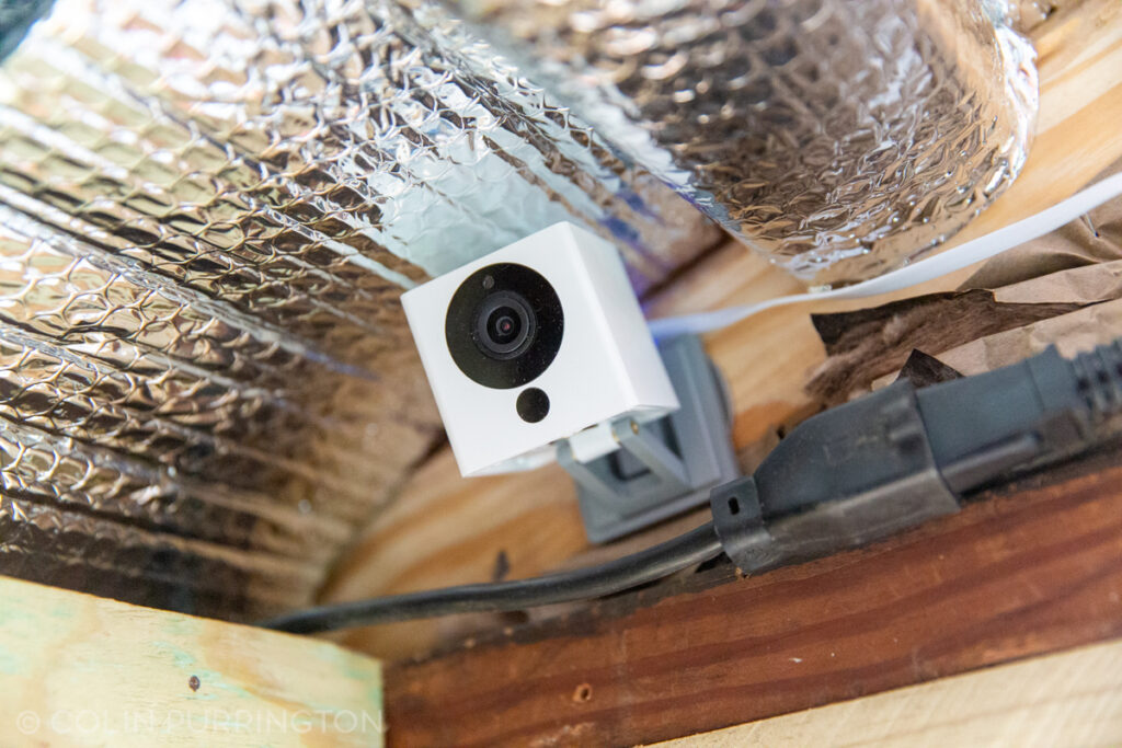 Wyze camera inside chicken coop