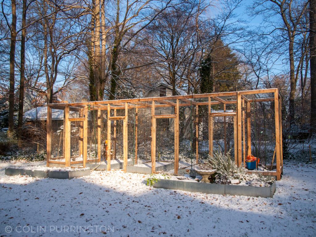 Chicken run covered with wire