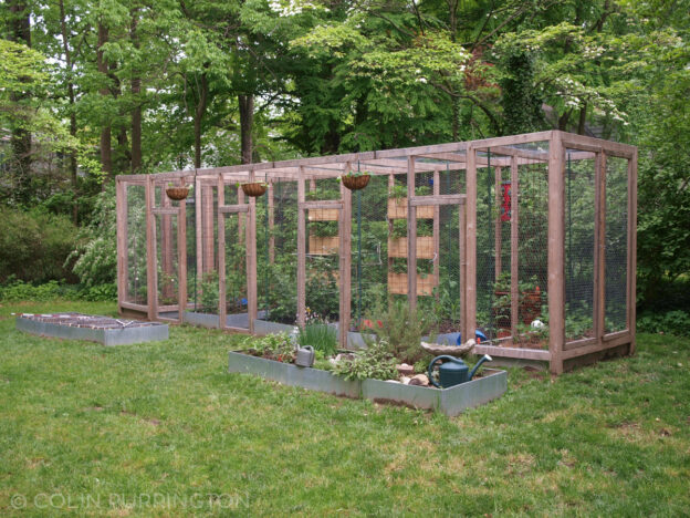 Squirrel-proof garden » Colin Purrington's blog