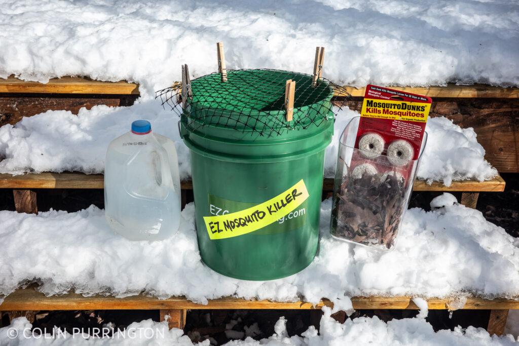 Photograph of a green bucket covered with black mesh, resting on a snow-covered step. Next to it is a milk jug filled with water, a container of dried leaves, and a package of Mosquito Dunks. 